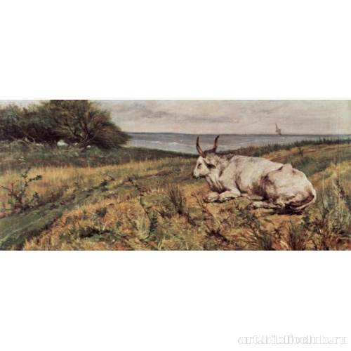 Лежащая корова