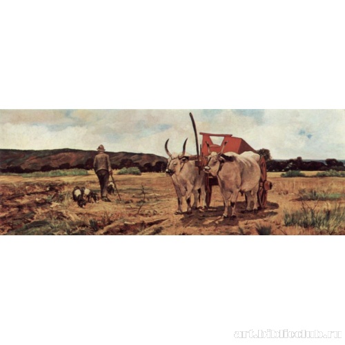 Прибрежные болота