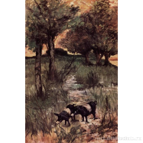 Две свиньи на пастбище