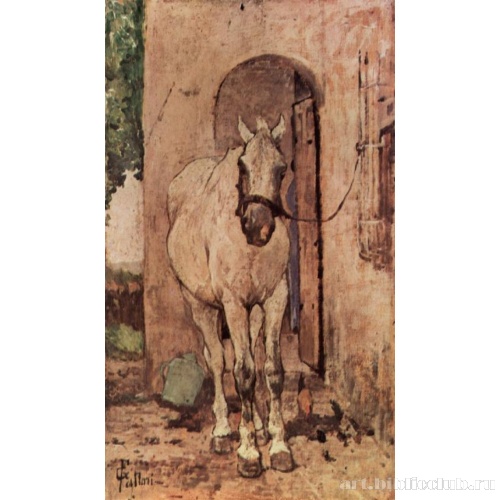 Белая лошадь перед дверью