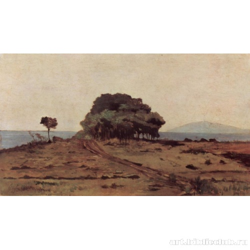 Деревья у моря