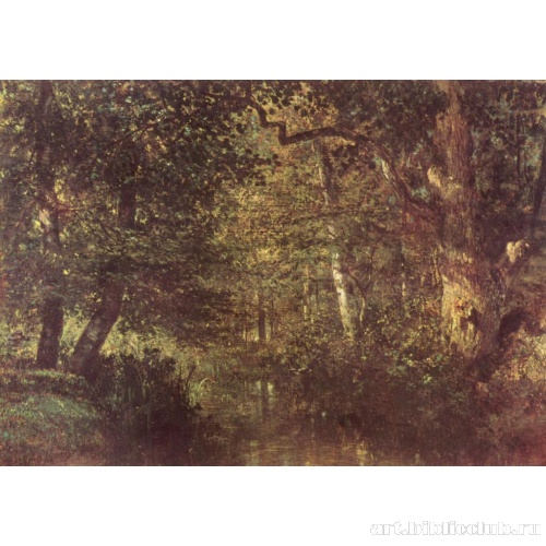 Лесной ручей