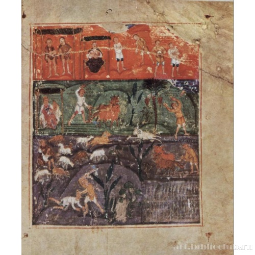 Рукопись ашбернемского Пятикнижия. История Адама