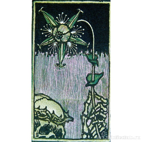 Смерть и цветок