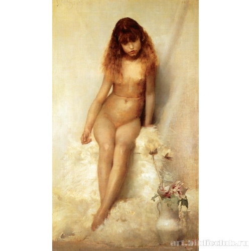 Полевой цветок