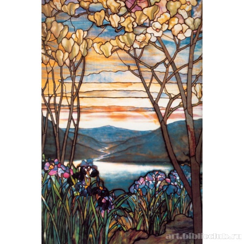 Магнолия и ирисы