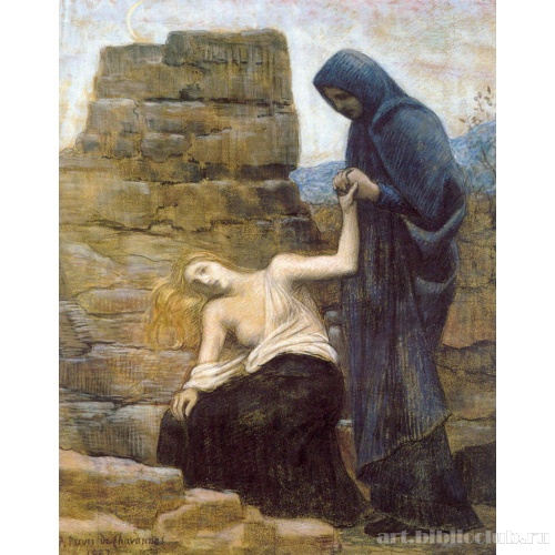 Сострадание