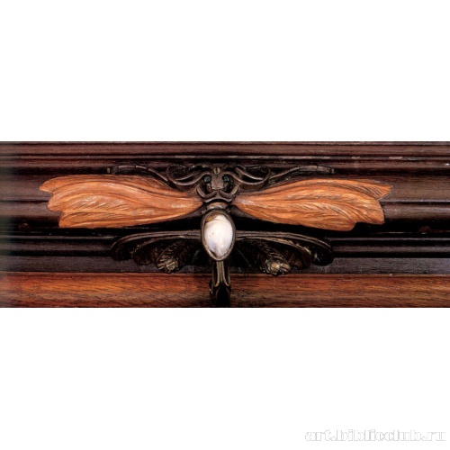 Витрина с изображением стрекоз, фрагмент