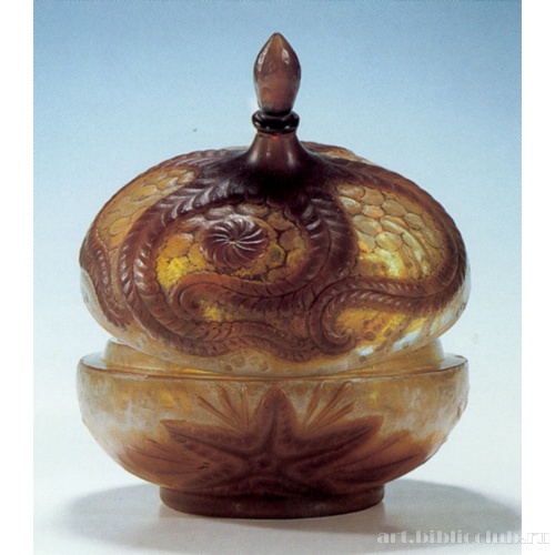 Морская звезда