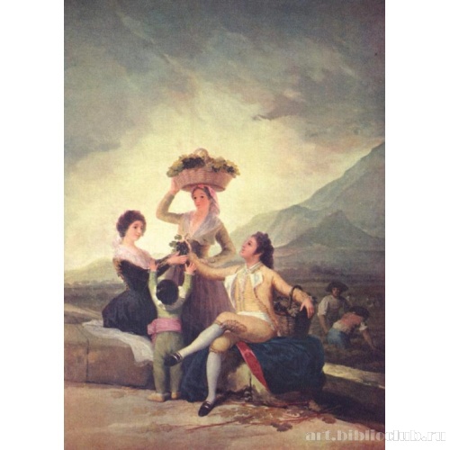 Сбор винограда