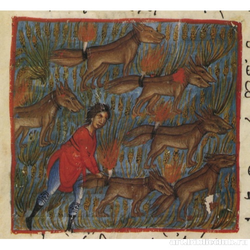 История Самсона