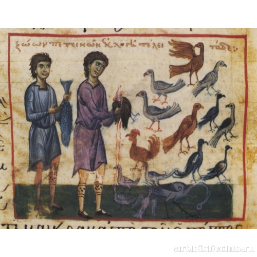 Чистые и нечистые животные