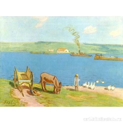 Берега реки