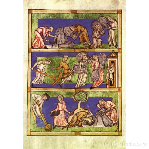 Сцена из Зерцала дев. Сбор урожая