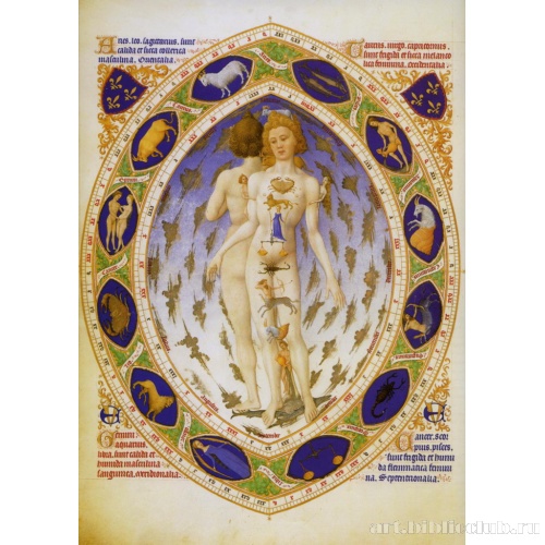 Анатомический человек