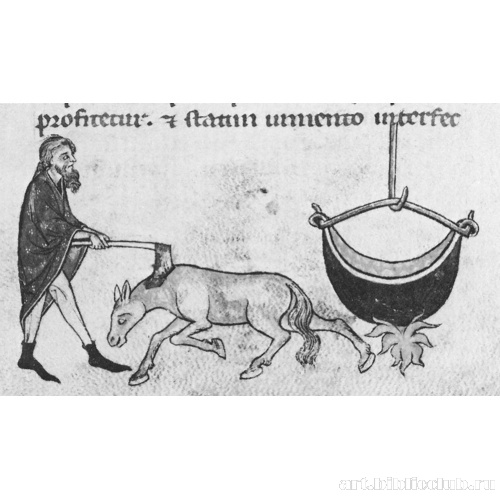 Убийство кобылы в Тирконелле и рагу из мяса кобылы