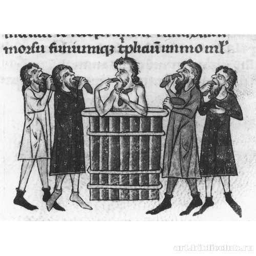 Купание в рагу из мяса кобылы