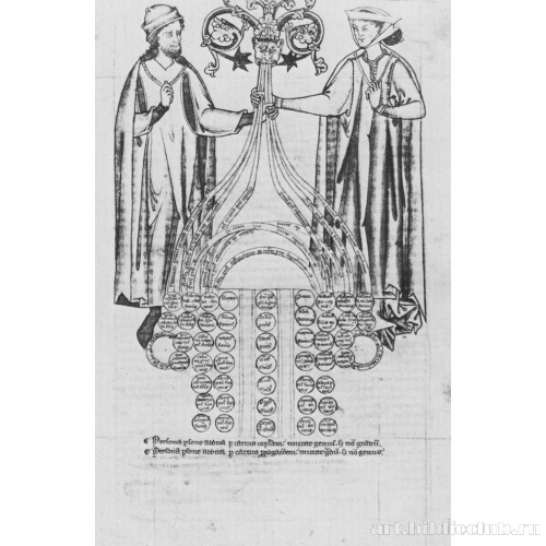 Женщина и мужчина около родословного дерева