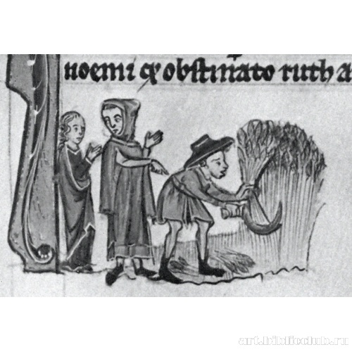 Крещение Христа. Рут и Вооз