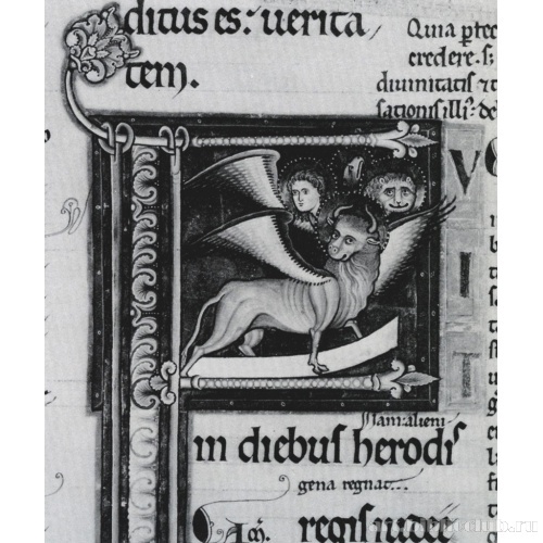 Заглавная буква F, Бык Св. Луки