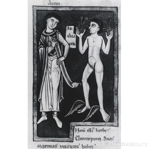 Меркурий перед Гомером