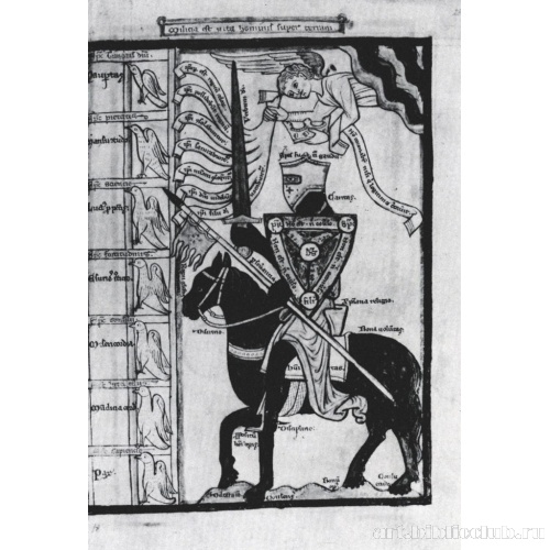 Рыцарь сражающийся с пороками