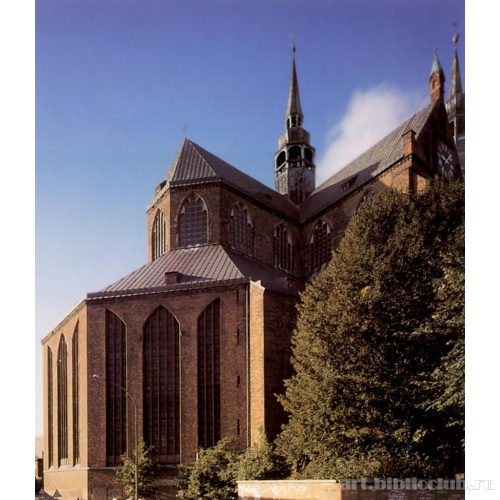 Северо-восточный вид