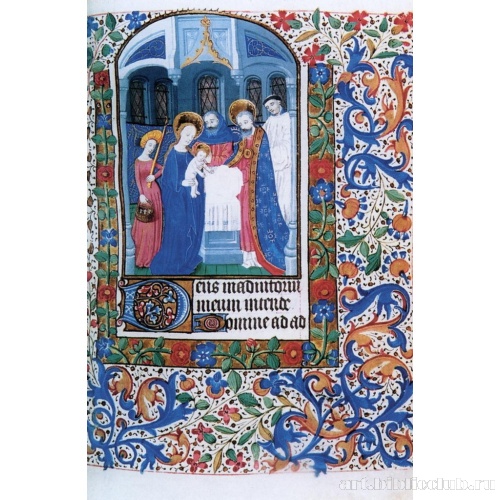 Принесение Младенца во храм