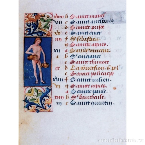 Водолей (январь)