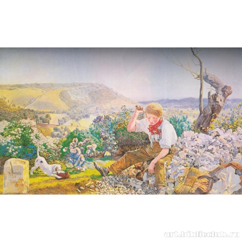 Дробильщик камня