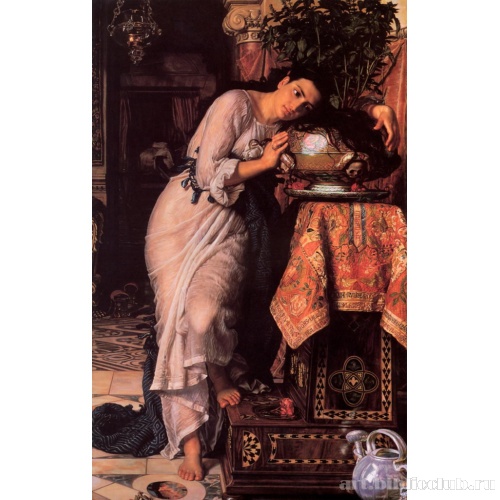 Изабелла и горшок Бэзила