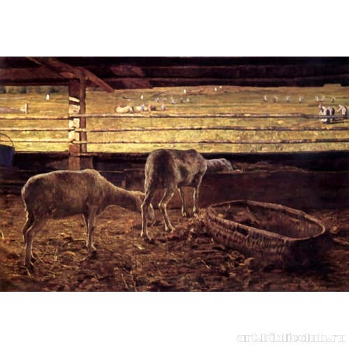 Контраст света