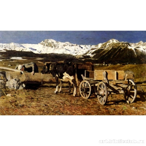 Запряженные коровы