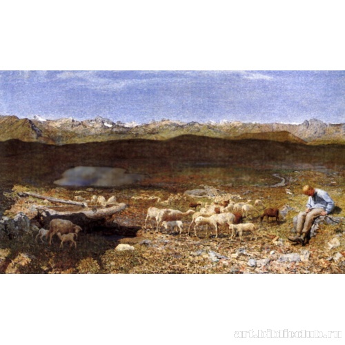 Альпийские луга