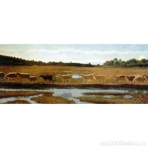 Зеркало жизни