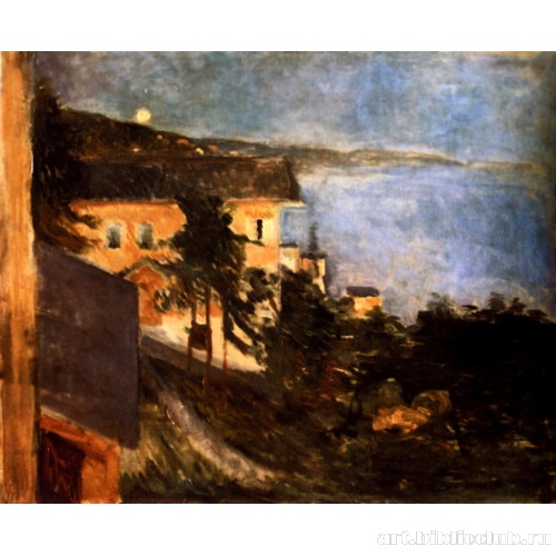 Христиания-фьорд при лунном свете