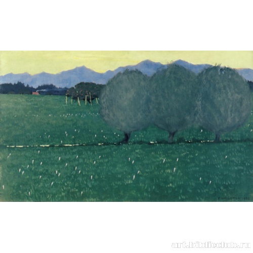 Осенние крокусы