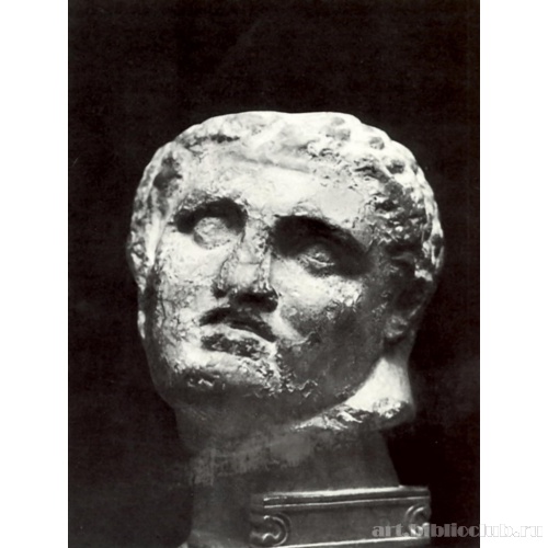 Голова раненого воина