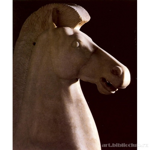 Голова лошади из паросского мрамора