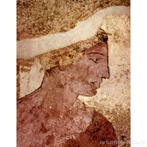 Голова юноши. Деталь росписи из гробницы Голини II в Орвьето
