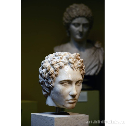 Портрет юноши (вид сбоку)