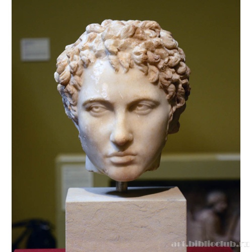 Портрет юноши (вид спереди)