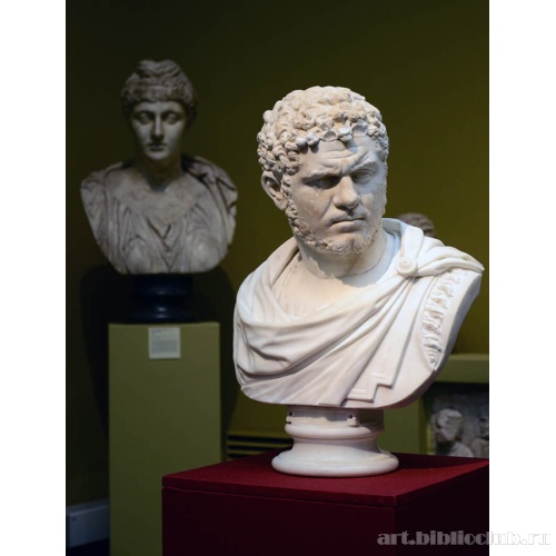 Портрет императора Каракаллы (вид сбоку)