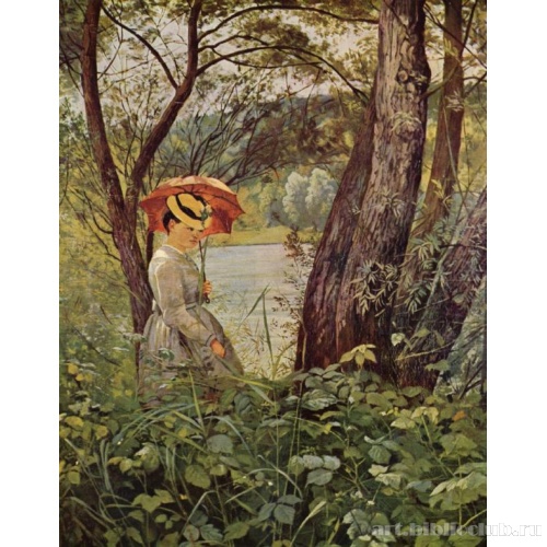 Под светом солнца