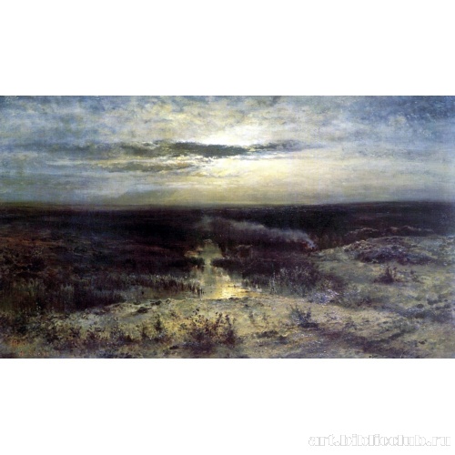 Лунная ночь. Болото