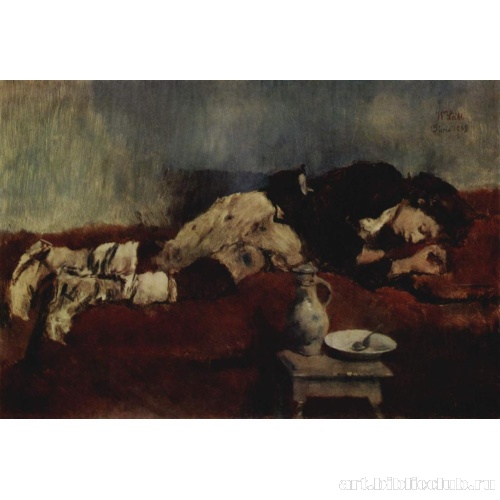 Спящий маленький савояр