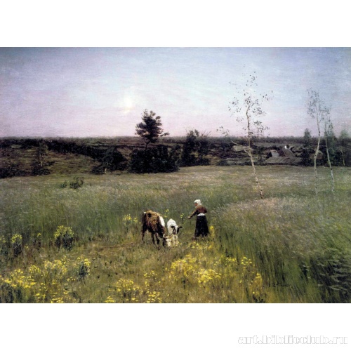 Сумерки