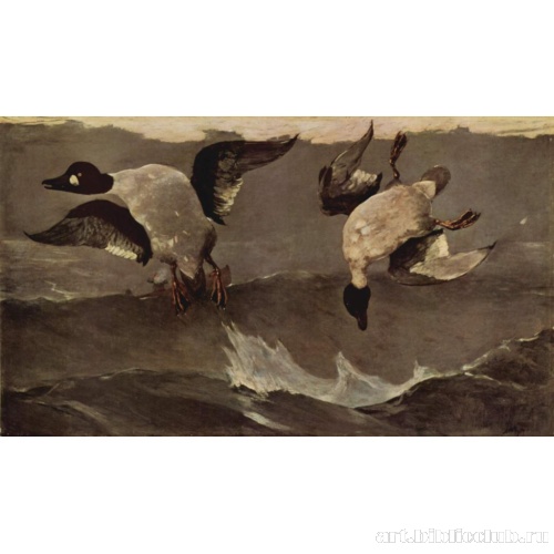 Двойное попадание