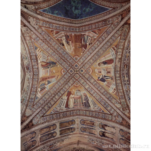 Общий вид купола