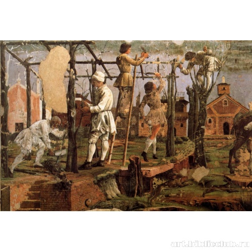 Вырезание виноградной лозы